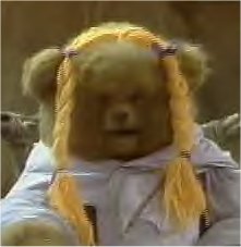 Bungle Bogs